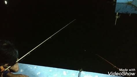 cara mancing ikan nila malam hari